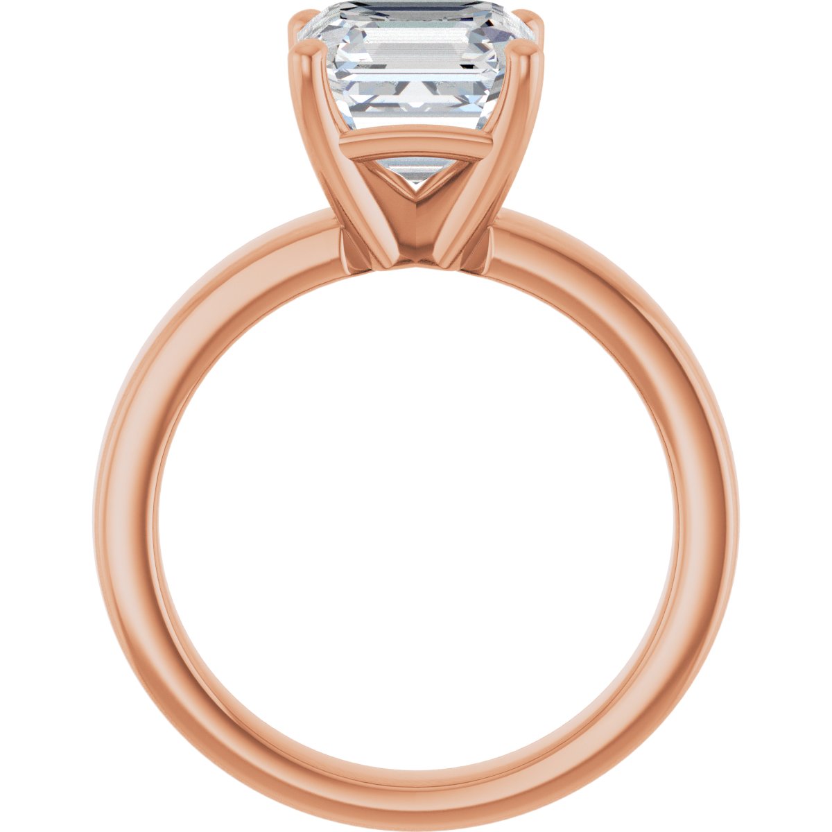 elodie-asscher-rose-2_800x800